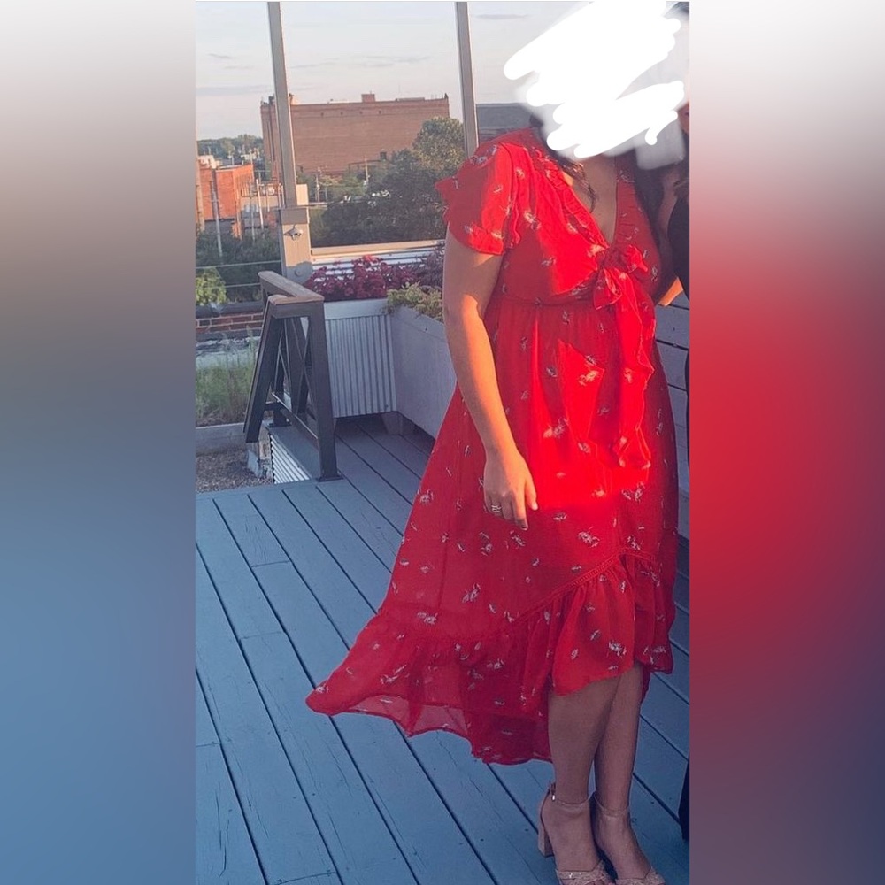 Line & Dot Red Summer Dress